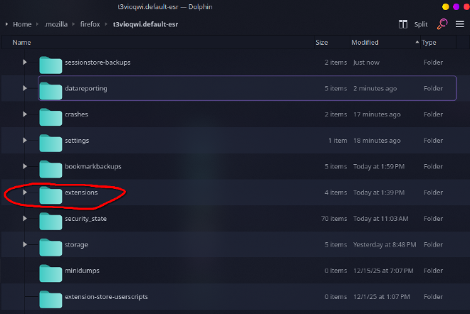 Firefox Profile Extensions